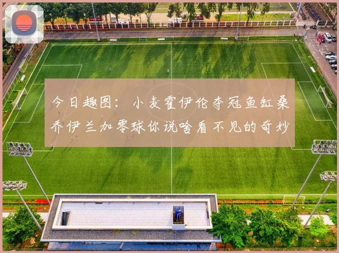 今日趣图：小麦霍伊伦夺冠鱼缸桑乔伊兰加零球你说啥看不见的奇妙瞬间