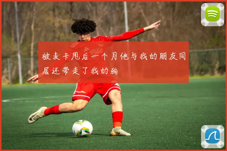 被麦卡甩后一个月他与我的朋友同居还带走了我的狗
