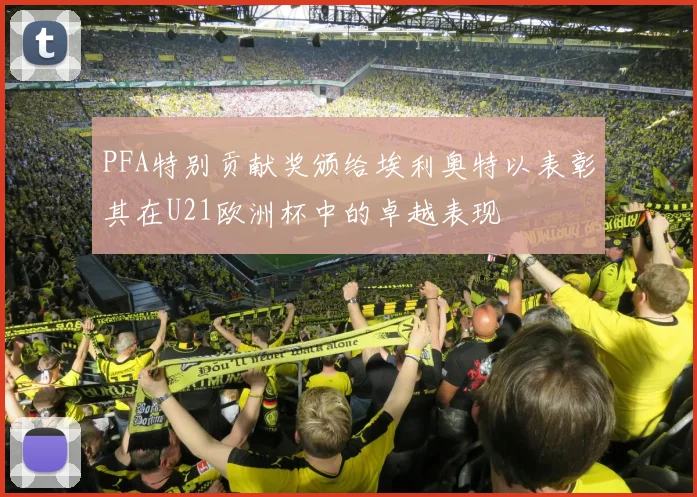 PFA特别贡献奖颁给埃利奥特以表彰其在U21欧洲杯中的卓越表现