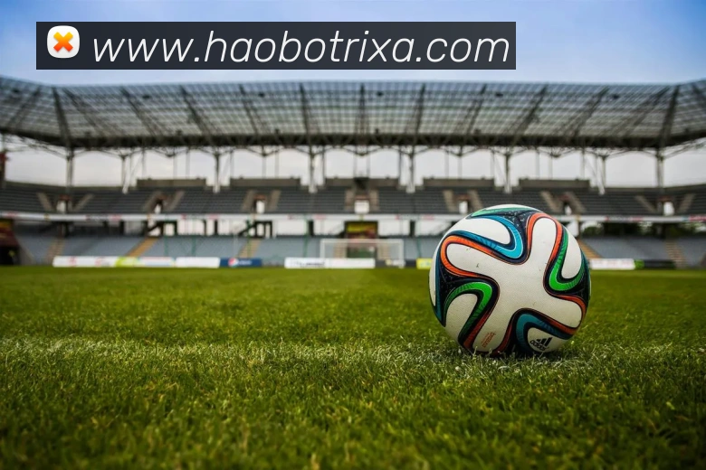 好博体育平台生态图